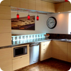 Teragren Bamboo Panels shown on modern residential kitchen cabinets