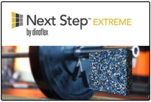 dinoflex Next Step Extreme Product Logo